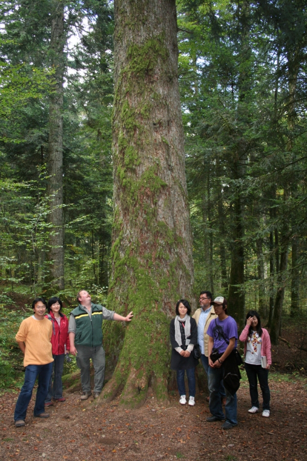 Weitanne im Schwarzwald mit Gästen aus Japan